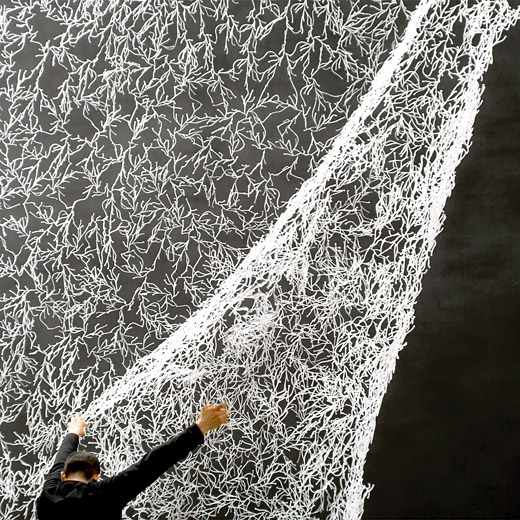 84821_B2_White_Algue