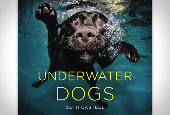 underwater-dogs-seth-casteel
